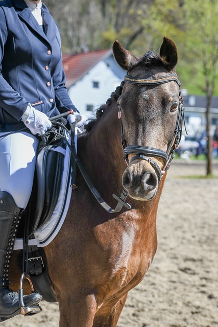 并加速落实 并加速落实