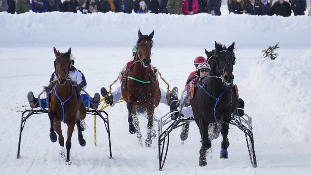 一步 一步